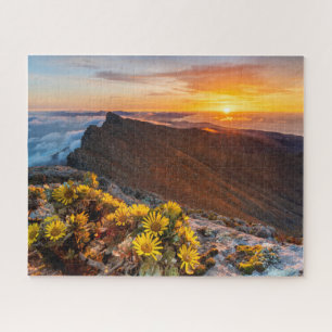 Flowers Canary Islands, Spain Jigsaw Puzzle