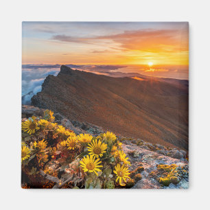 Flowers Canary Islands, Spain Magnet