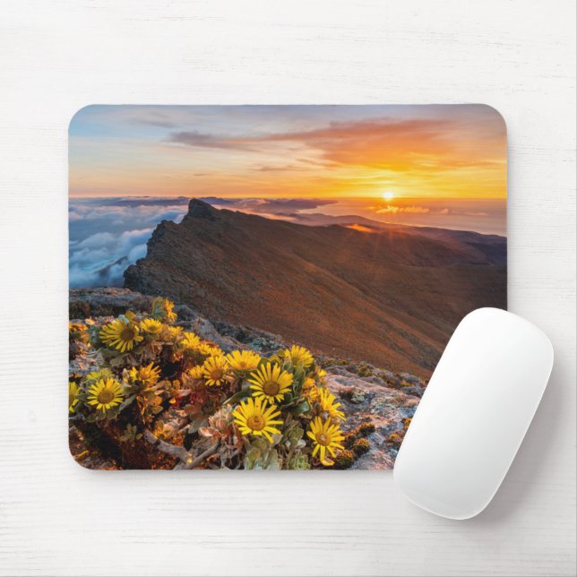 Flowers | Canary Islands, Spain Mouse Pad (With Mouse)