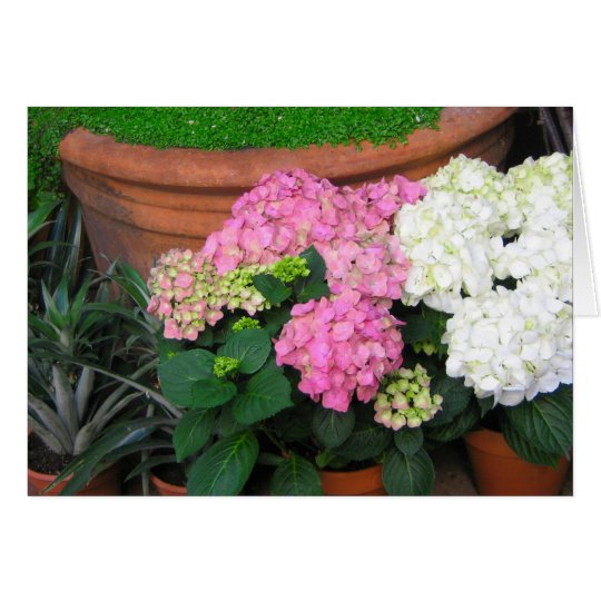 flowers card