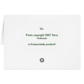 Flowers Cards (Back Horizontal)