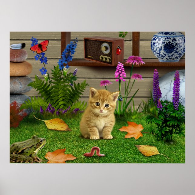 flowers cat flower kitty frog picture poster natur (Front)