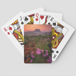 Flowers Chiang Dao, Chiang Mai, Thailand Poker Cards