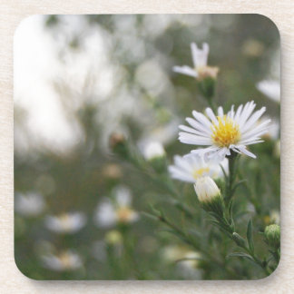 Flowers Coaster