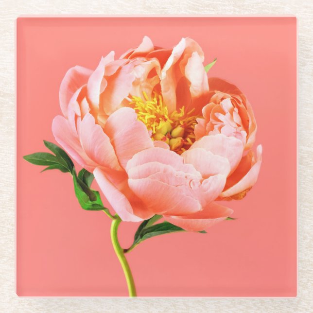 Flowers | Coral Peony Blossom Glass Coaster (Front)