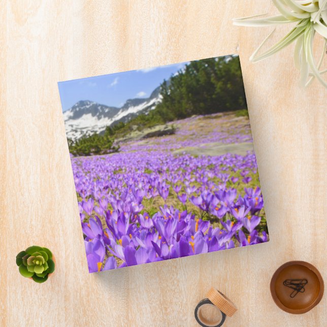 Flowers | Crocus Pirin Mountain Park Bulgaria 3 Ring Binder (In Situ)