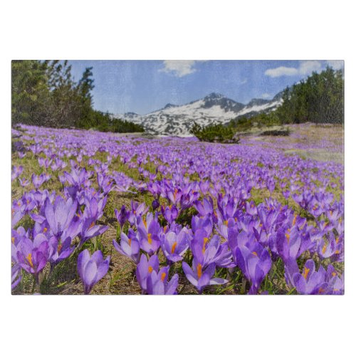 Flowers  Crocus Pirin Mountain Park Bulgaria Cutting Board