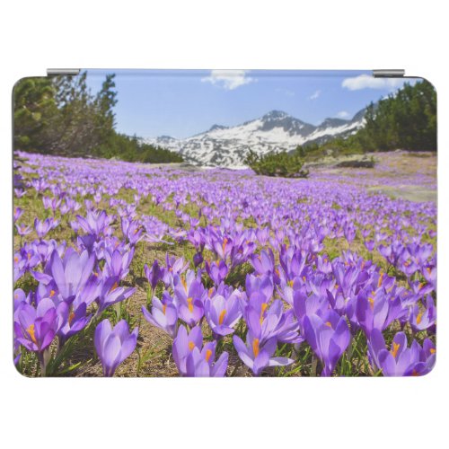 Flowers  Crocus Pirin Mountain Park Bulgaria iPad Air Cover