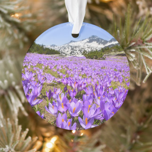 Flowers | Crocus Pirin Mountain Park Bulgaria Ornament (Tree)