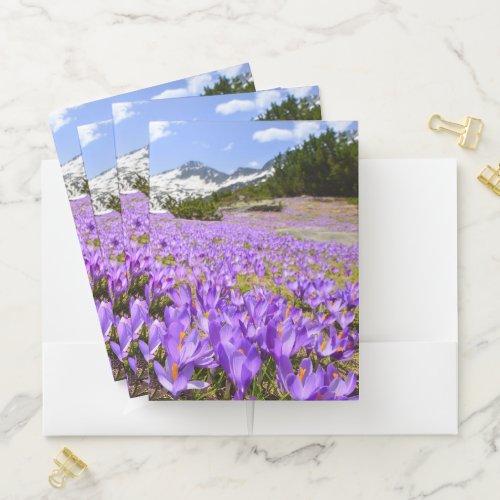 Flowers  Crocus Pirin Mountain Park Bulgaria Pocket Folder