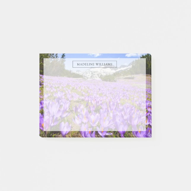 Flowers | Crocus Pirin Mountain Park Bulgaria Post-it Notes (Front)
