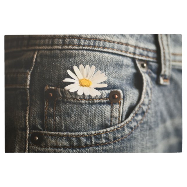 Flowers | Daisy in Jeans Pocket Metal Print (Front)