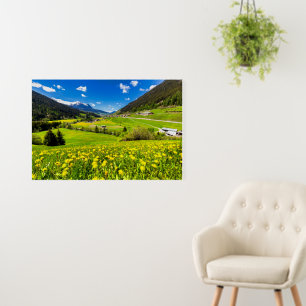 Flowers   Dandelion Canton of Grisons, Switzerland Foam Board