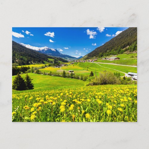 Flowers  Dandelion Canton of Grisons Switzerland Postcard