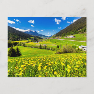 Flowers Dandelion Canton of Grisons, Switzerland Postcard