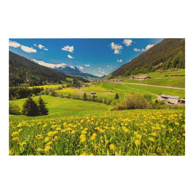 Flowers | Dandelion Canton of Grisons, Switzerland Wood Wall Art (Front)