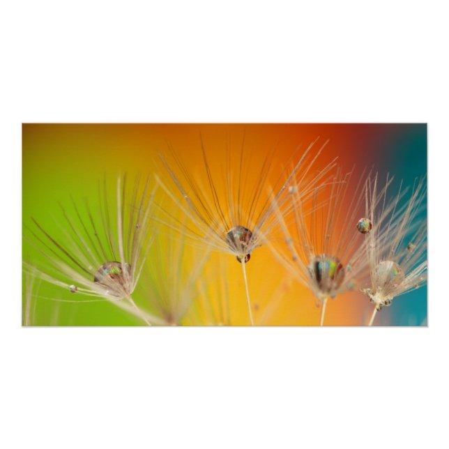 Flowers Dandelion Wedding Shower Love Peace Poster (Front)