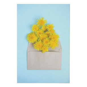 Flowers Dandelions in Envelope Faux Canvas Print