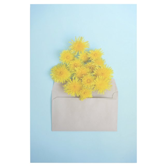 Flowers | Dandelions in Envelope Gallery Wrap (Front)