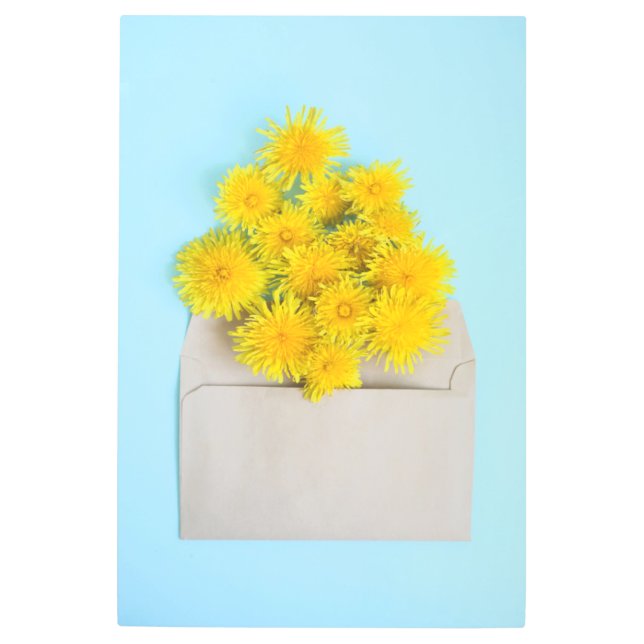 Flowers | Dandelions in Envelope Metal Print (Front)