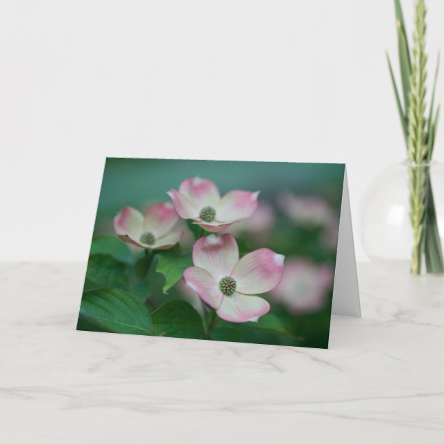 Flowers | Dogwood Blossoms Card (Front)
