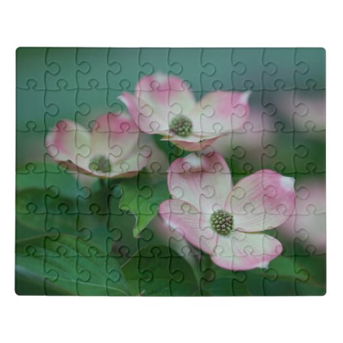 Flowers  Dogwood Blossoms Jigsaw Puzzle