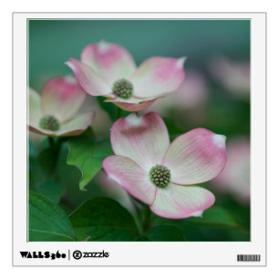 Flowers Dogwood Blossoms Wall Decal