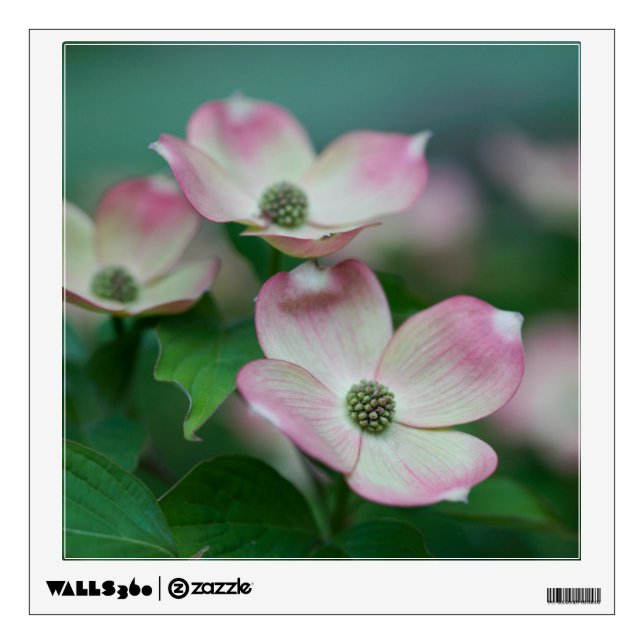 Flowers | Dogwood Blossoms Wall Decal (Front)