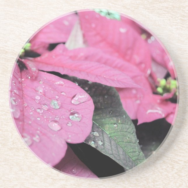 Flowers Drink Coaster (Front)