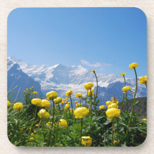Flowers Eiger Monch Swiss Alps Beverage Coaster