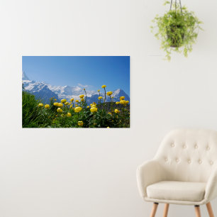 Flowers Eiger Monch Swiss Alps Foam Board