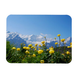 Flowers Eiger Monch Swiss Alps Magnet