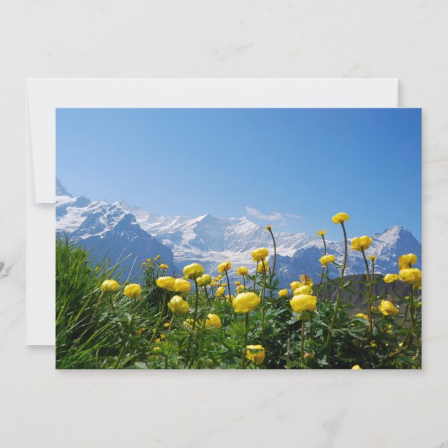 Flowers | Eiger Monch Swiss Alps Thank You Card (Front)