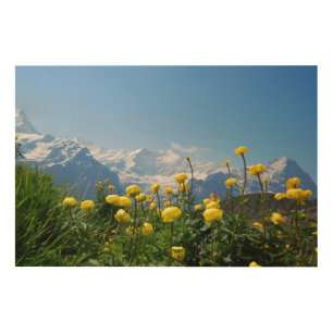 Flowers   Eiger Monch Swiss Alps Wood Wall Art