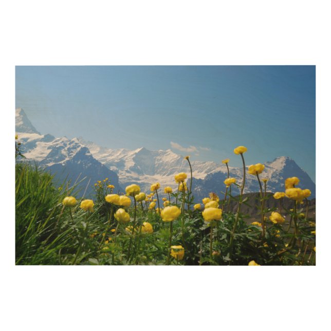Flowers | Eiger Monch Swiss Alps Wood Wall Art (Front)