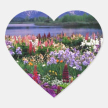 Flowers Field
