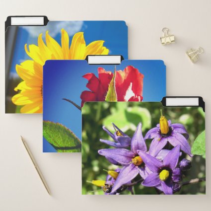 Flowers File Folders