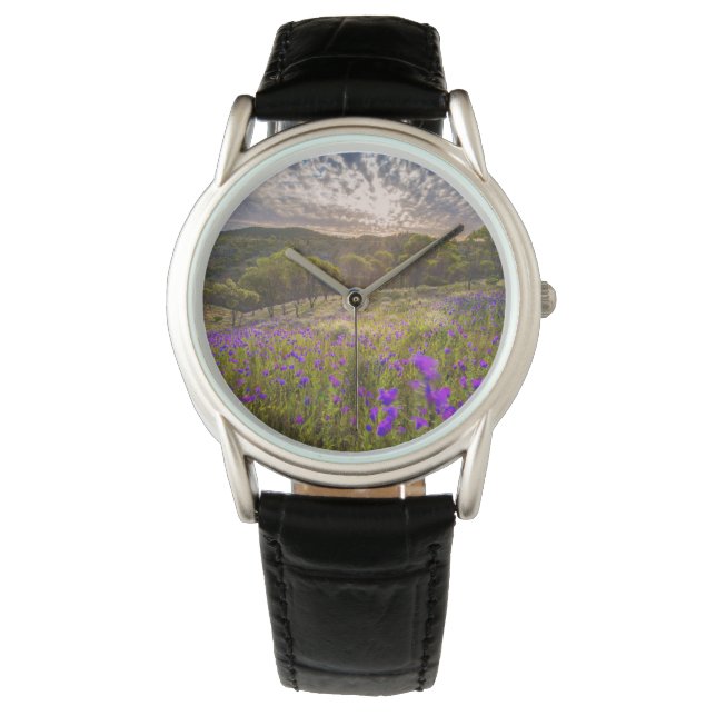 Flowers | Flinders Ranges Australia Watch (Front)