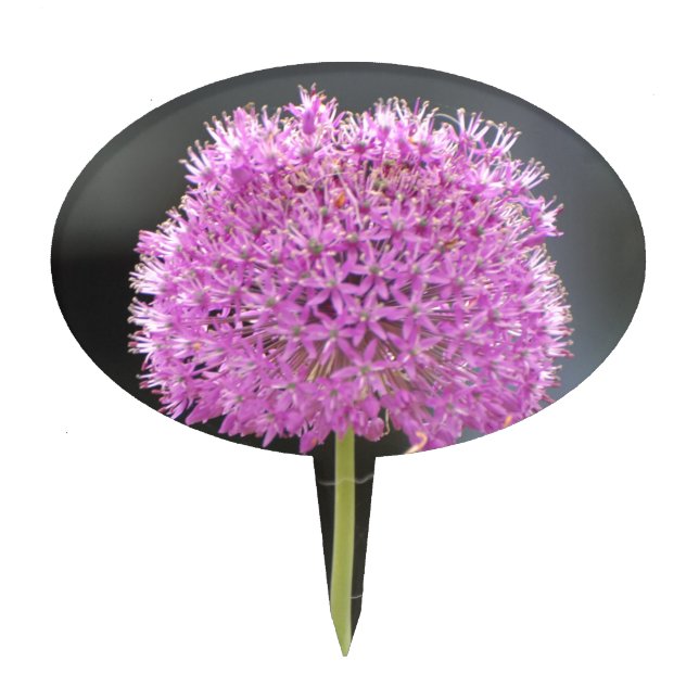 Flowers for All Cake Topper (Front)