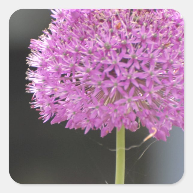 Flowers for All Square Sticker (Front)