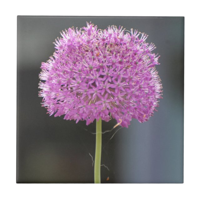 Flowers for All Tile (Front)