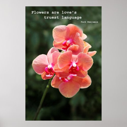 Flowers for Love Poster
