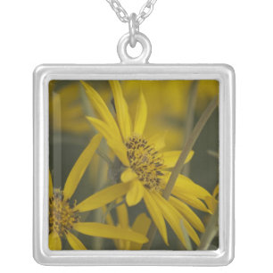 Flowers for You Silver Plated Necklace
