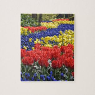 Flowers from Holland, Keukenhof Jigsaw Puzzle