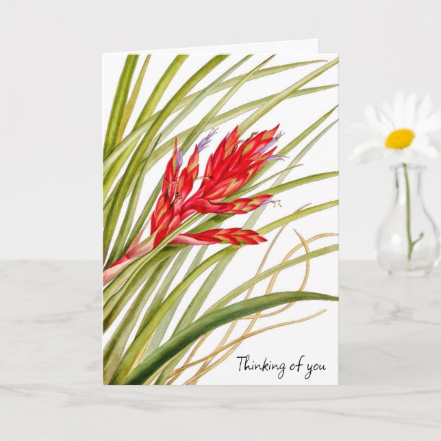 FLOWERS FROM NATURE CARD (Small Plant)