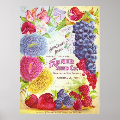 Flowers  Fruit Vintage Catalog Cover Print