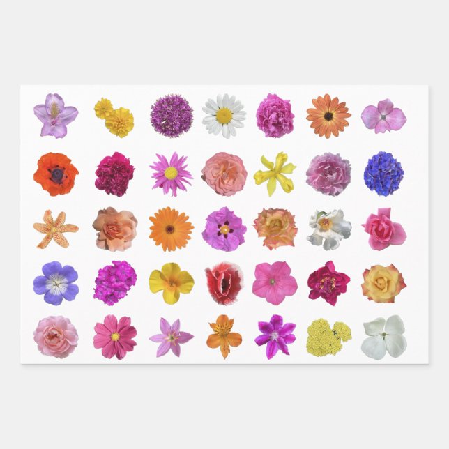 FLOWERS GALORE!  Wrapping Paper (Front 3)
