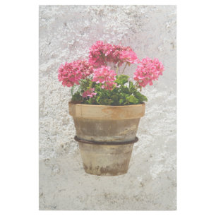 Flowers Geranium In Flower in Pot Gallery Wrap