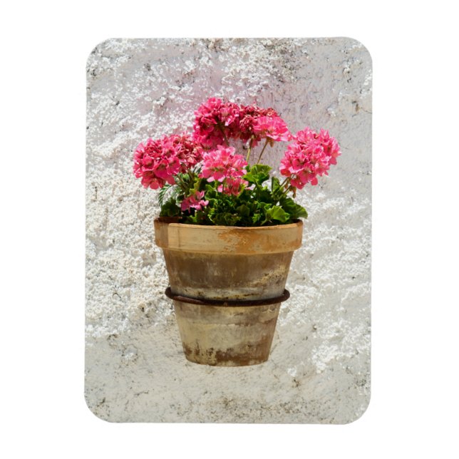 Flowers | Geranium In Flower in Pot Magnet (Vertical)
