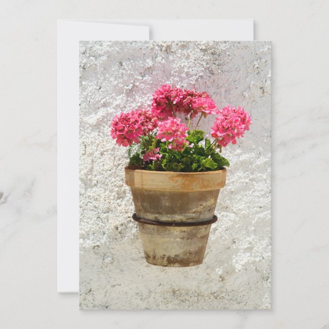Flowers | Geranium In Flower in Pot Thank You Card (Front)